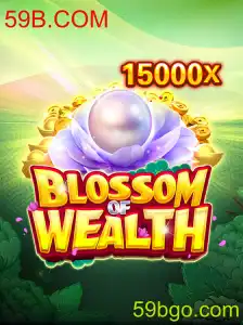 Explorando o Universo de BlossomofWealth e a Plataforma 59B.COM