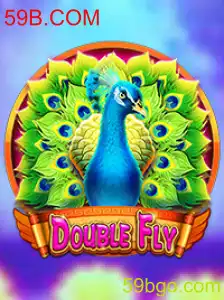 DoubleFly: Uma Nova Experiência de Jogo no 59B.COM
